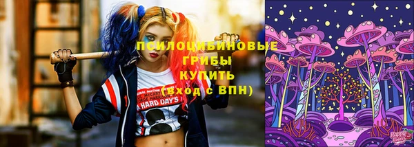 прущие крисы Алзамай