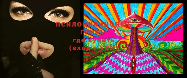 индика Армянск