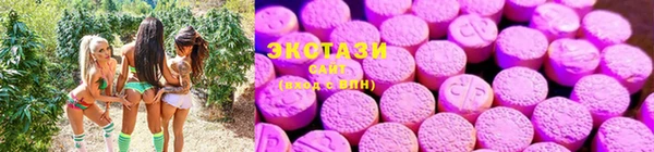 прущие крисы Алзамай